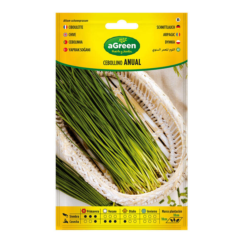 Pack De 5 Unidades - Sobre Con Semillas De Cebollino Anual 000239bolsh Agreen