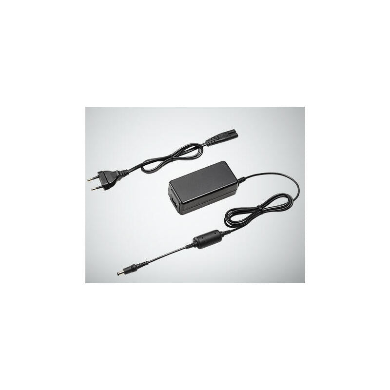 Panasonic Dmw-Ac10e Line Adapter