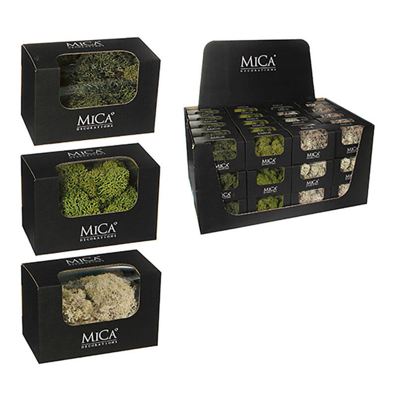 Plantas De Musgo Artificial Surtidas 50g