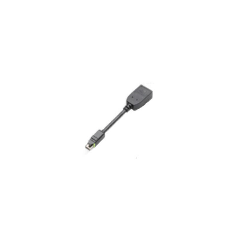 Pny Adaptador Minidp -> Dp 10cm