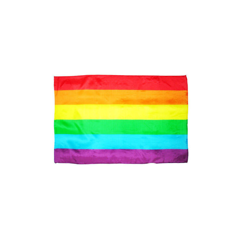 Pride - Bandera Mediana Lgbt