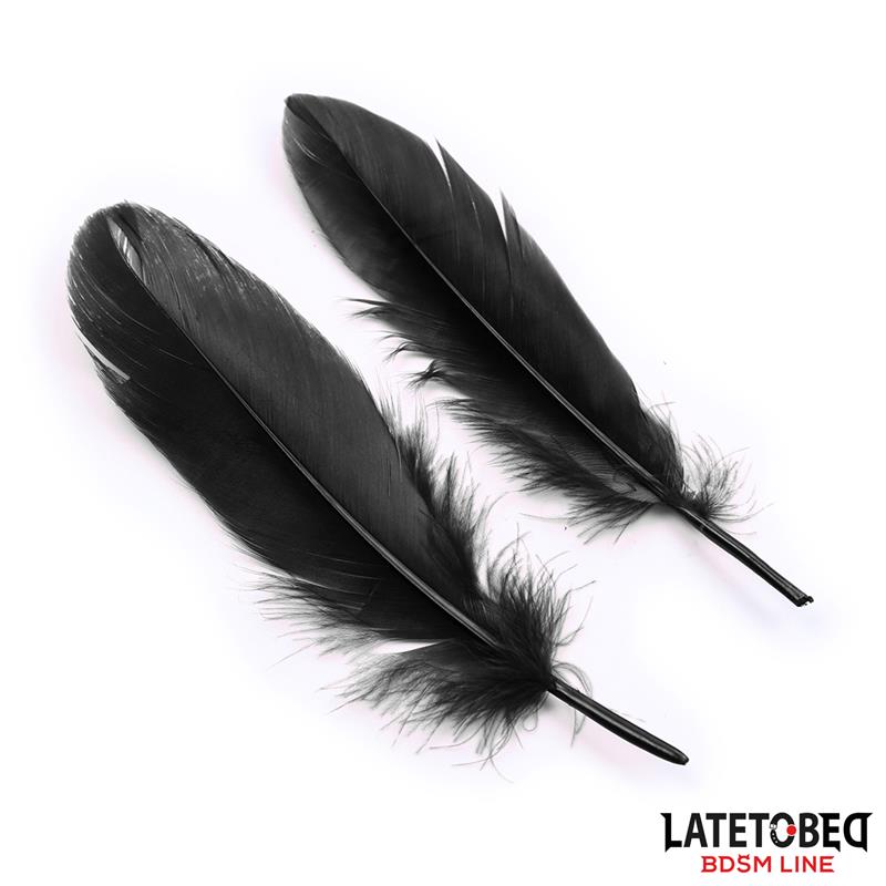 Set De 3 Piezas Antifaz, Esposas Y Plumas Negro