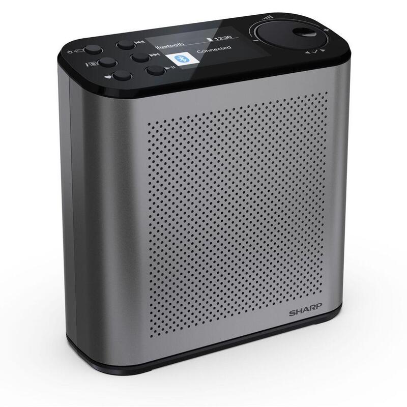 Radio Sharp Dr-P530 Dab+/Bt Mit Integr. Akku Schwarz