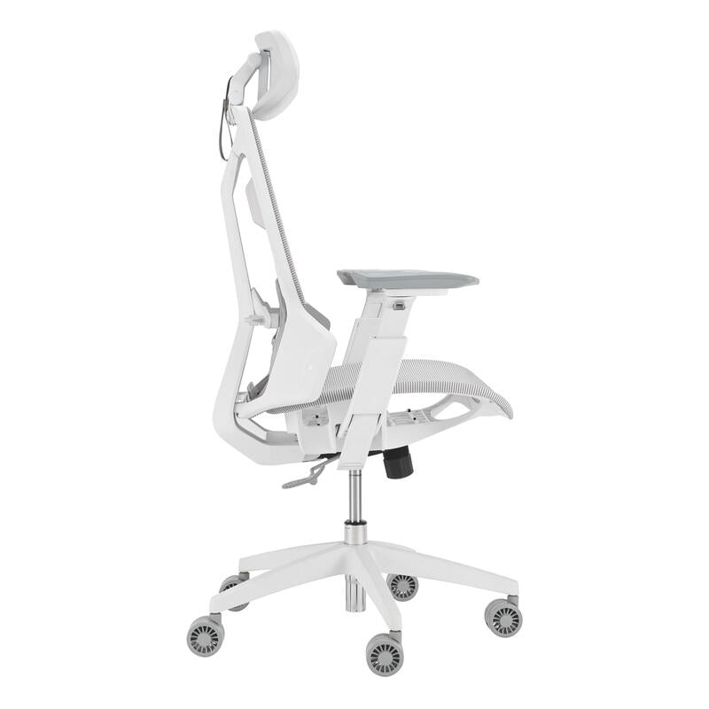 Silla Gaming Asus Rog Demrier Ergo Core Wht