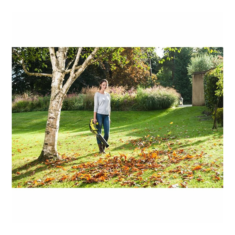 Soplador De Hojas A Batería Ryobi One+ Rbl18jb40f, 18 Voltios (Verde/Negro, Batería De Iones De Litio De 4,0 Ah)