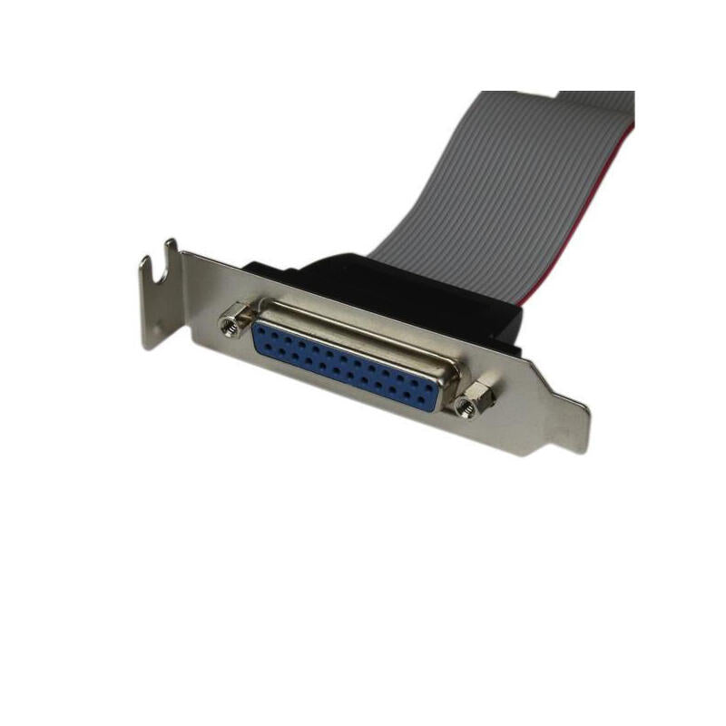 Startech Adaptador 40cm Header Cabezal Bracket Per