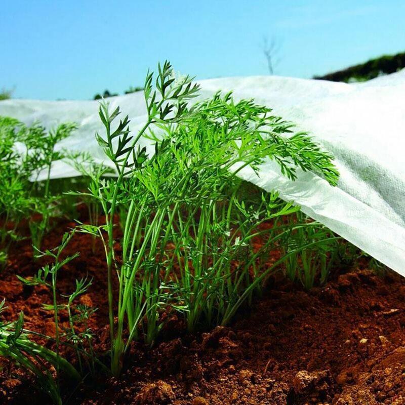 Tela De Protección Para Cultivos-Bobina 2x20m 30gr/M² Biotop Garden