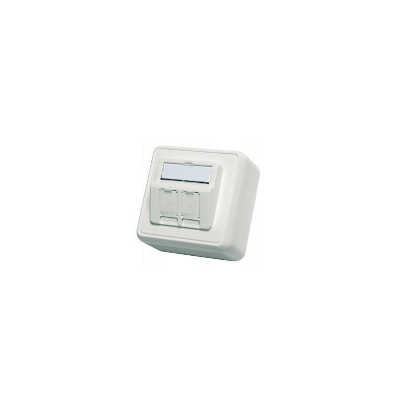 Telegärtner 80x80, Caja De Superficie De 2 Vías Vacía, Blanco Alpino