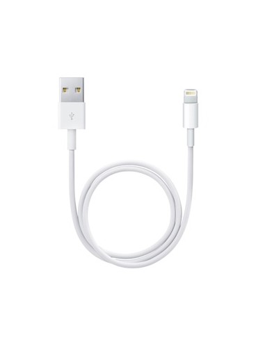 Apple Cable Lightning-usb 0,5m Blanco