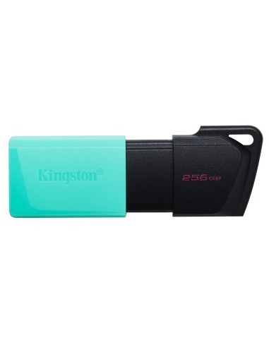 Pendrive 256gb Kingston Datatraveler Exodia M Usb 3.2