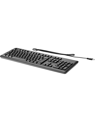 Hp Teclado Usb Frances Negro Retail