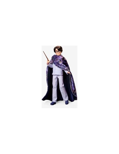 Muñeca  Mattel Harry Potter Exclusive Design Collection  Harry Potter, Figura Hnd81