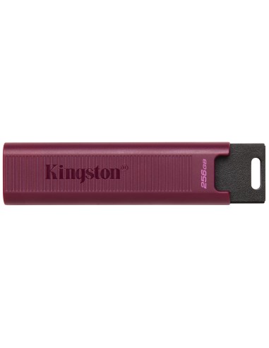 Pendrive 256gb Kingston Datatraveler Max Usb 3.2