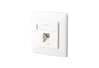EAN 4250184118442 - BTR NETCOM 130C371002-I toma de corriente RJ-45 Blanco imagen 1