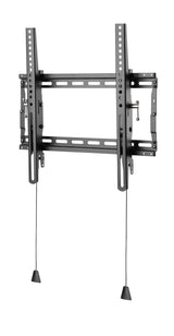 Basic Medium Wall Mount With  Tilt