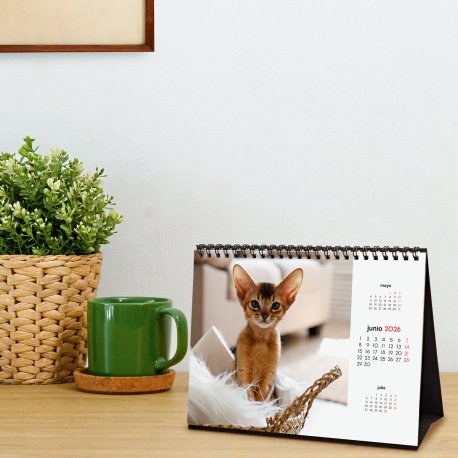 EAN 8422952402268 - Finocam 780323826 calendario Mesa imagen 3