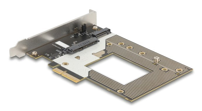 Delock Pci Express 4.0 X4 Tarjeta A 1 X Nvme M.2 Key M 110 Mm Oder U.2 Slot