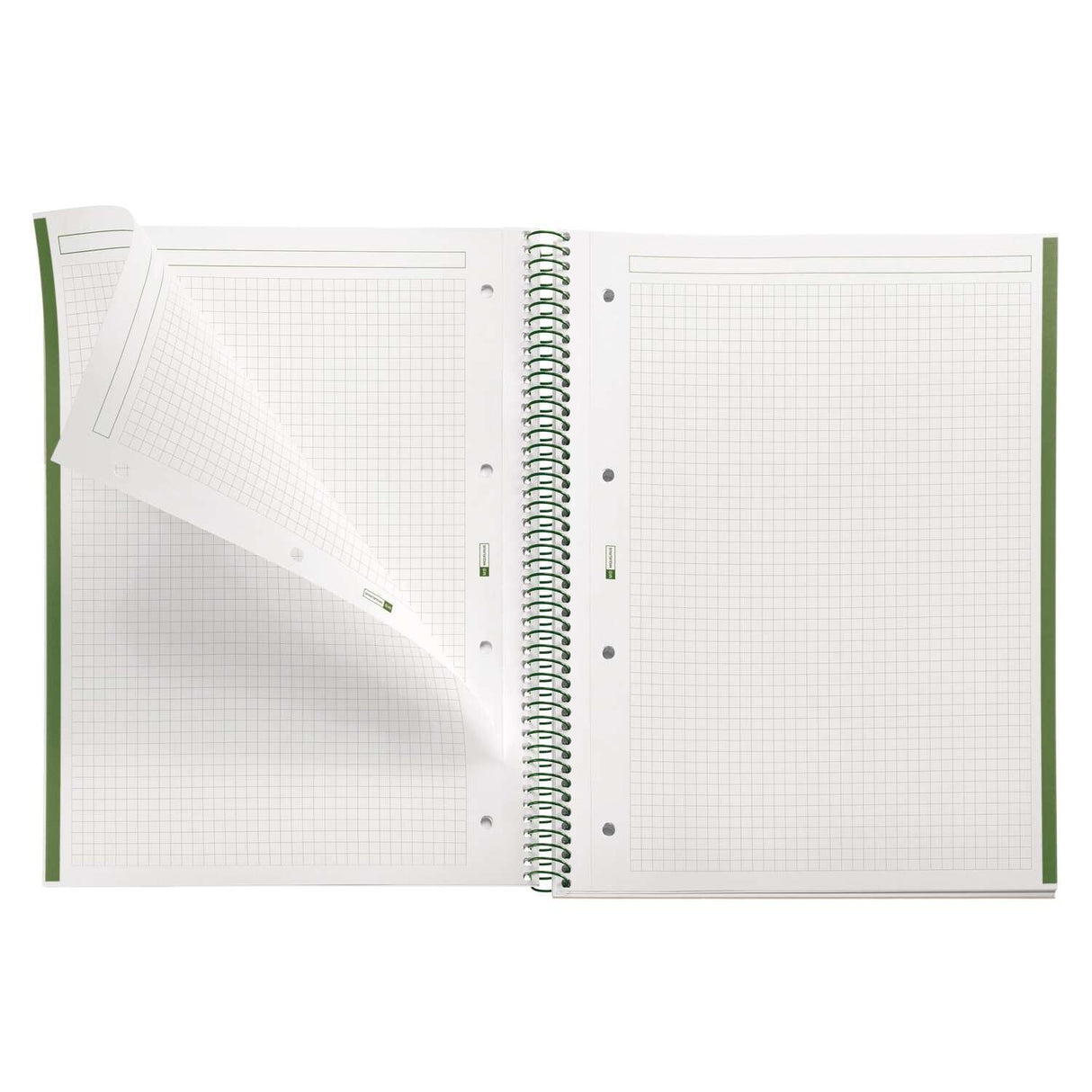 EAN 8422593460498 - MAUL A460459 cuaderno y block A4 80 hojas Verde imagen 2