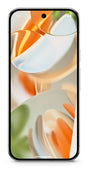 EAN 840353914391 - Google Pixel 9 Pro XL 17,3 cm (6.8") SIM doble Android 14 5G USB Tipo C 16 GB 128 GB 5060 mAh Blanco imagen 1
