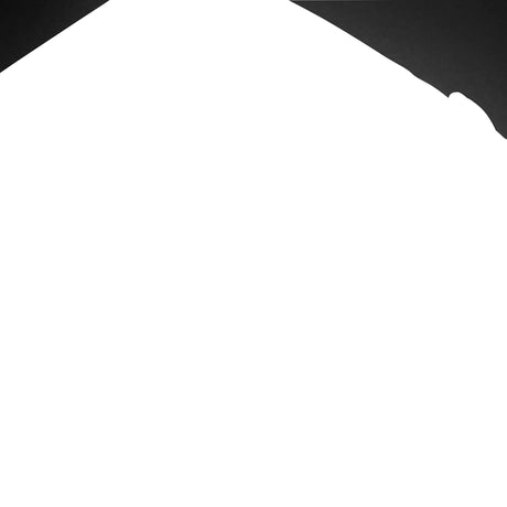 EAN 0196188587942 - HP Professional 17.3 Laptop Backpack 43,9 cm (17.3") Negro imagen 9