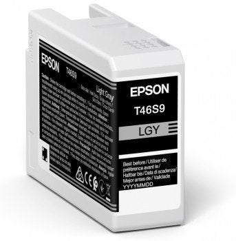EAN 8715946681009 - Epson UltraChrome Pro cartucho de tinta 1 pieza(s) Original Gris claro imagen 1