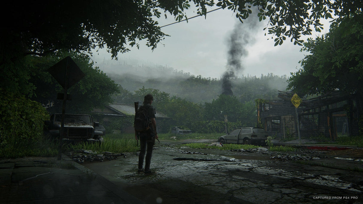 Videojuego Para Ps4 The Last Of Us Parte 2
