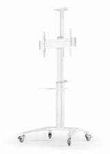 Gembird Aluminum Tv Floor Stand With Caster Wheels 37-70" White