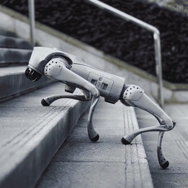 Unitree Go2 Air Roboterhund (Inklusive Ferbedienung)