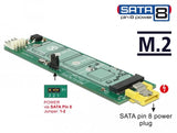 Delock 63917 Convertidor Sata 8 Pines De Potencia Hembra> Ranura M.2 Key B