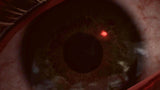 EAN 8436016712194 - Tesura Games Oxide Room 208 imagen 16