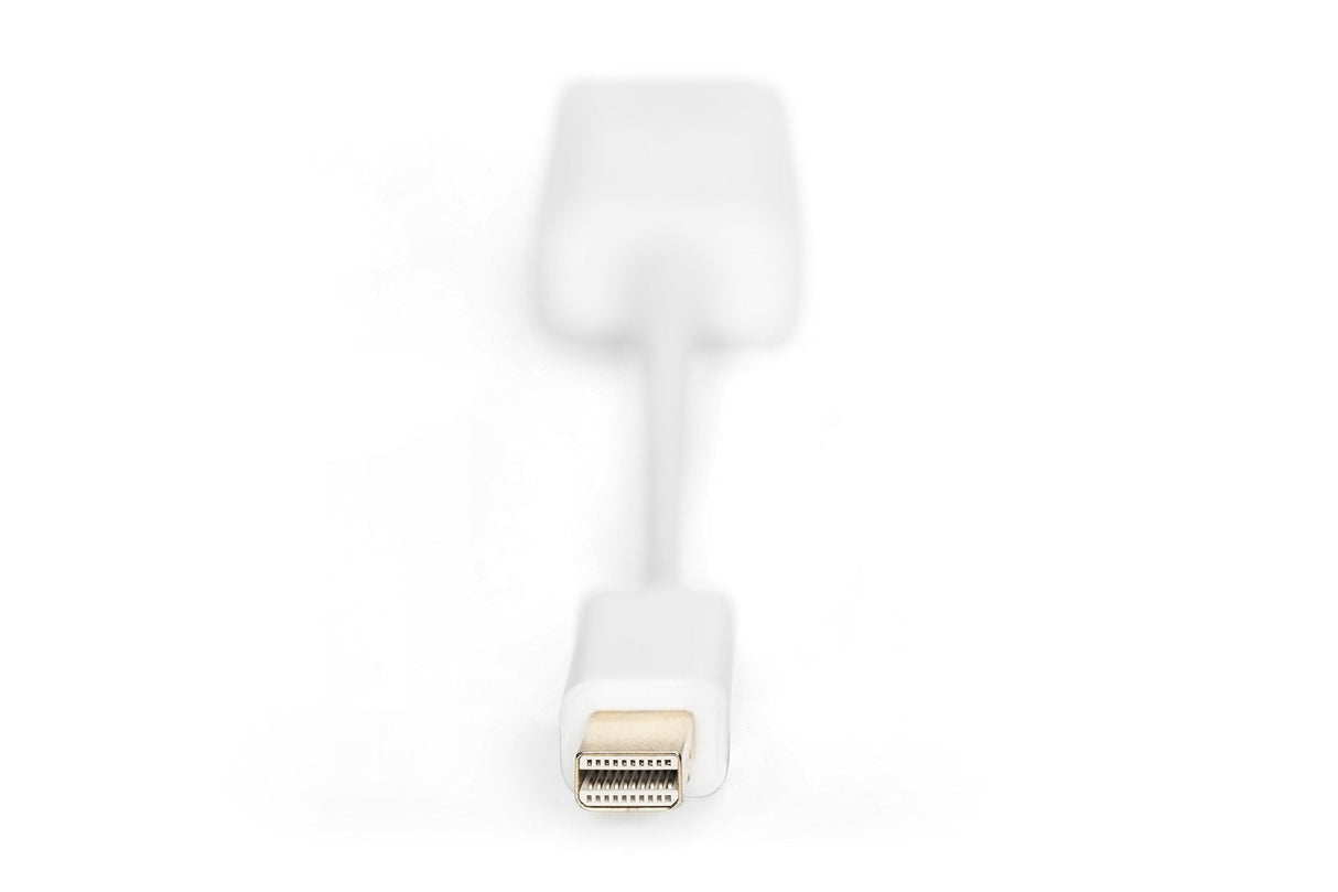 Conversor Digitus Displayport Mini Dp - Hdmi Tipo A M/H 0,15m Dp 1.1a Ce We