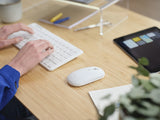 Lyra Bluetooth Wireless
