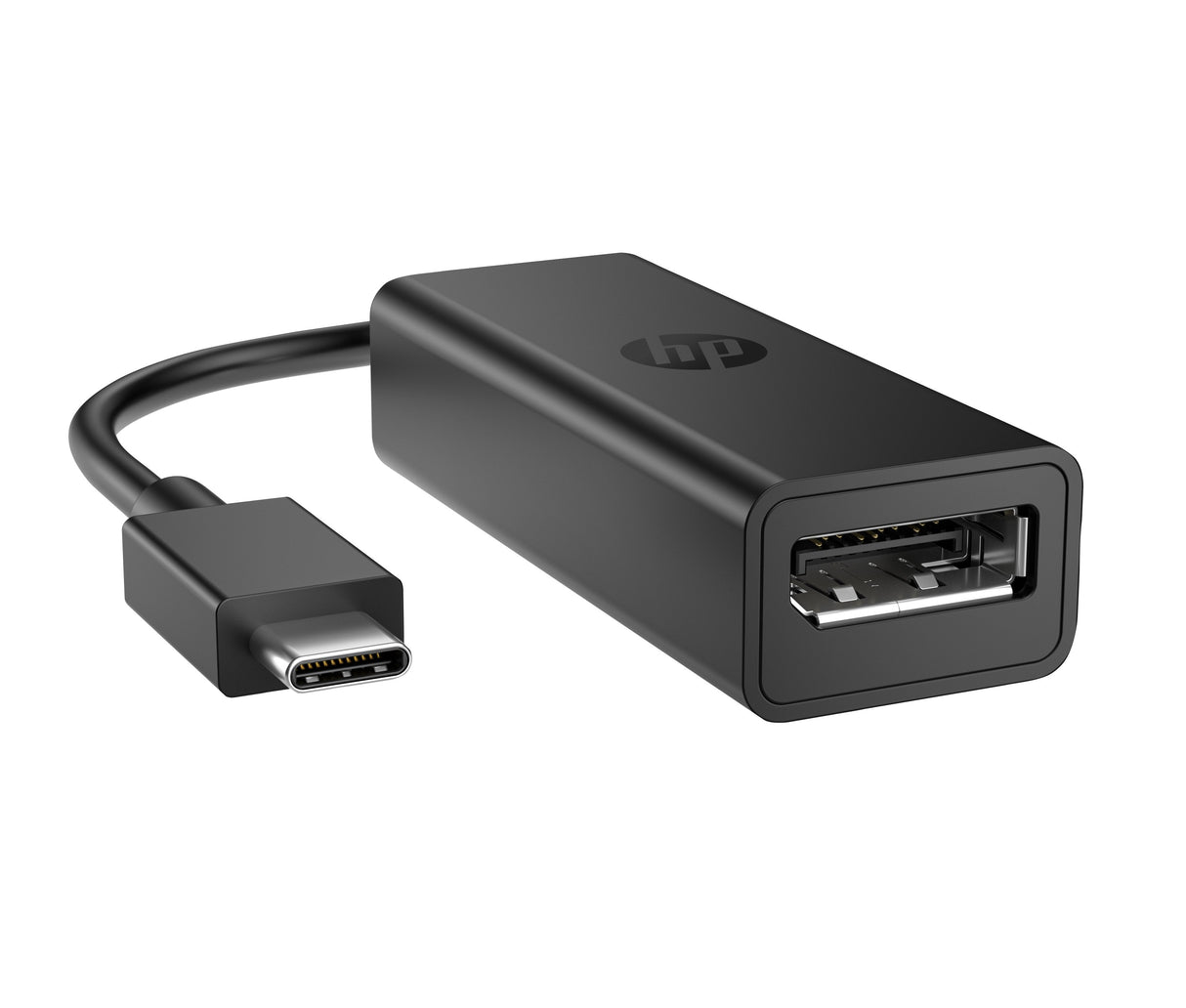 Usb-C To Displayport Adapter  G2