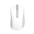 EAN 0197105537590 - ASUS Wireless Mouse MD102 ratón Universal mano derecha RF Wireless + Bluetooth Óptico 1600 DPI imagen 1