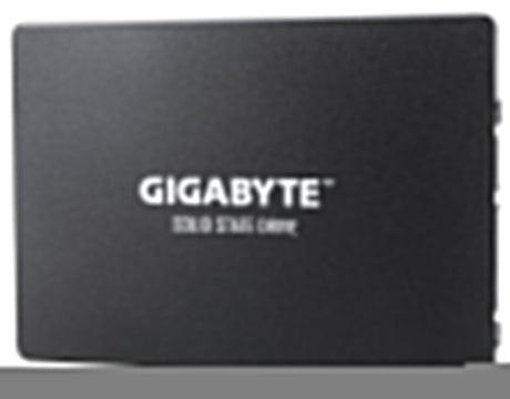EAN 4719331804565 - GIGABYTE GP-GSTFS31100TNTD unidad de estado sólido 1 TB 2.5" SATA imagen 2