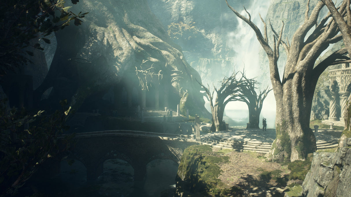 EAN 5055060954096 - Capcom Dragon's Dogma 2 Estándar Inglés PlayStation 5 imagen 8