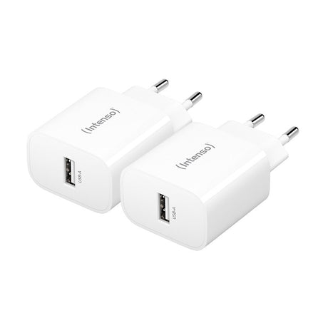 EAN 4034303036301 - Intenso 7800522 adaptador e inversor de corriente Interior imagen 1