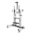 EAN 0065030906302 - StarTech.com 1110C-MOBILE-TV-CART soporte para TV 2,54 m (100") Negro, Plata imagen 1