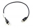 EAN 0887942001346 - Lenovo 0.5m DisplayPort 0,5 m Negro imagen 1