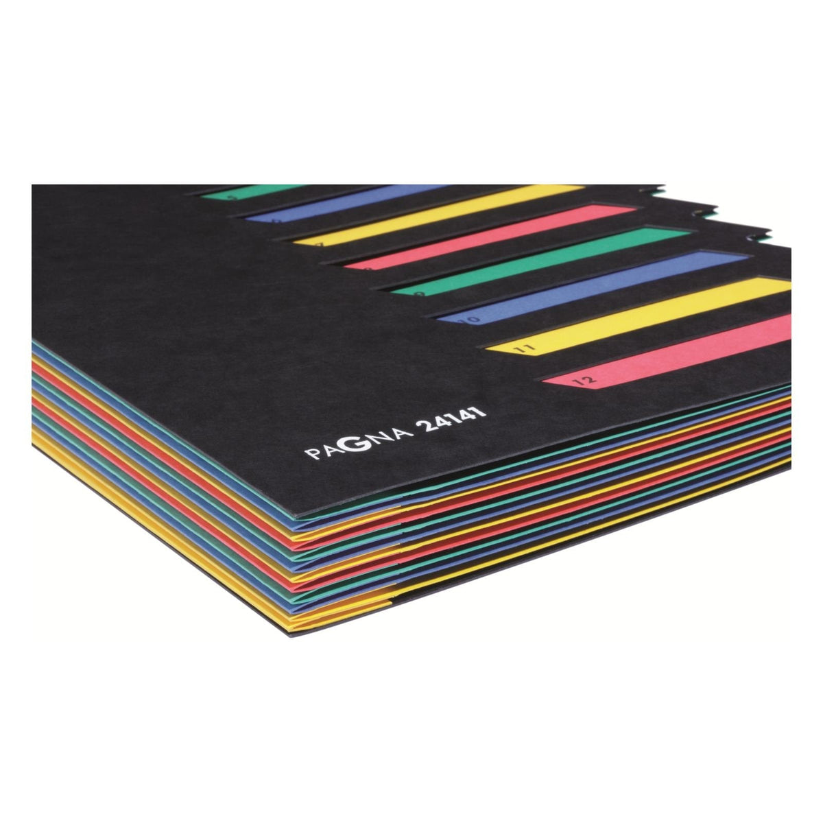 Pagna Carpeta Organizadora 12 Compartimentos - Negro