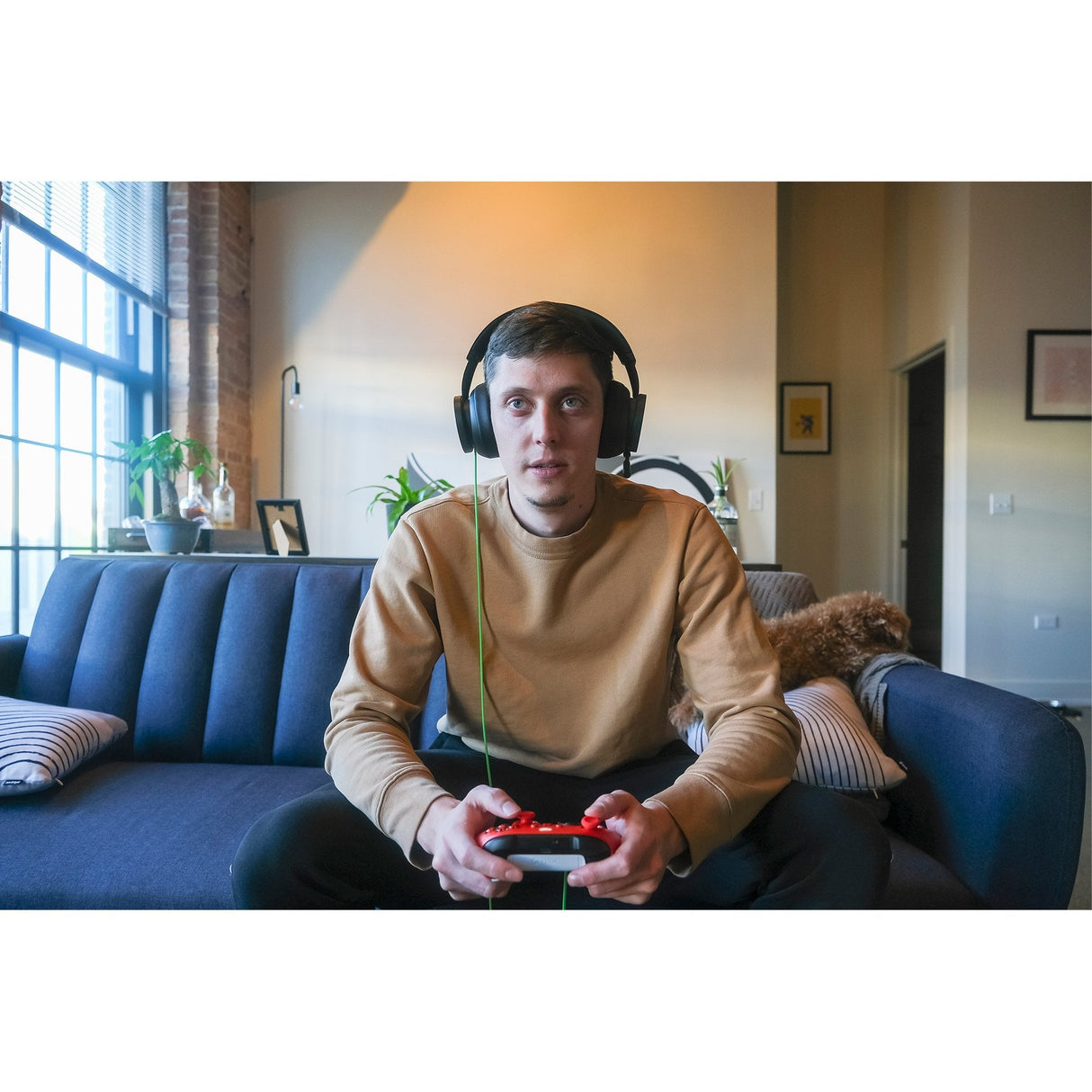Auriculares Xbox Stereo Gaming Microsoft