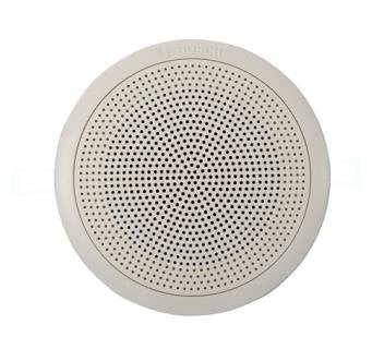 Ceiling Loudspeaker