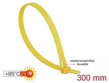 Delock Bridas Resistentes Al Calor L 300 X W 7,6 Mm 18761