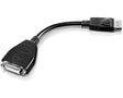 EAN 0884343053974 - Lenovo 45J7915 adaptador de cable de vídeo 0,2 m DVI-D DisplayPort Negro imagen 1