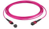 Efb Mtp(F)-Mtp(F) Cable De Red Om4 36 Fasern Tipo A Lszh Erika-Violeta 5m