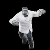 Set Figuras Hasbro Marvel Legends Series Wolverine Path & Hulk