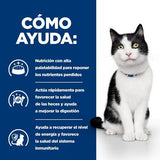 Comida Seca Para Gatos Hill'S Pd I/D Digestive Care Pollo  3kg