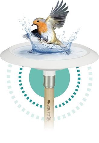 Bebedero Para Pájaros, Contenedor,Clickup De Gardena
