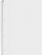 Brunnen Cuaderno Student Din A4 Cuadriculado - Material De Oficina - A4