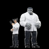 Set Figuras Hasbro Marvel Legends Series Wolverine Path & Hulk